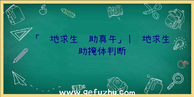 「绝地求生辅助真牛」|绝地求生辅助掩体判断